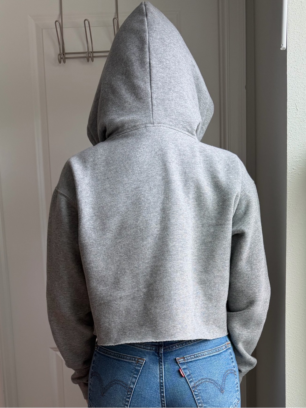 WILD FABLE Cropped Gray Drawstring Fleece Hoodie - Picture 5 of 15